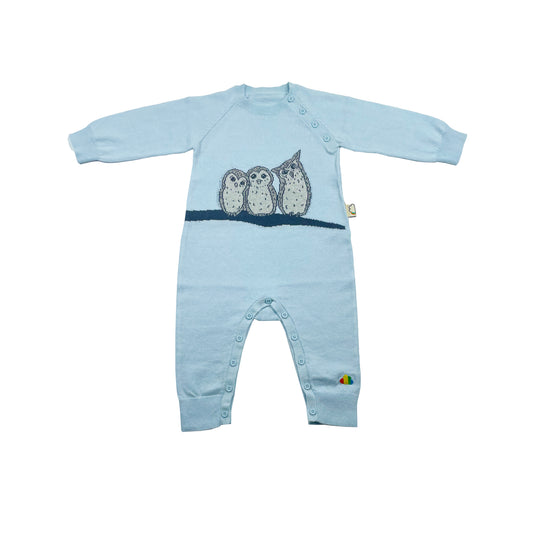 BABY BLUE OWL PRINT PULL OVER PLAYSUIT