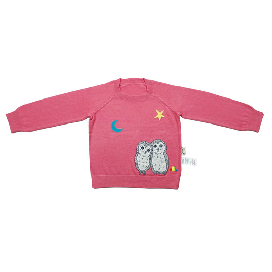 KIDS OWL PRINT LONG-SLEEVES SWEATER
