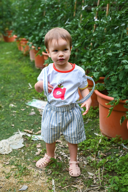 BABY/KIDS BLUE STRIPE FROG PRINT SHORTS WITH SUSPENDER